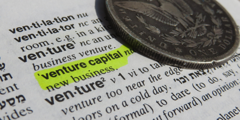 Who are Venture Capitalists?