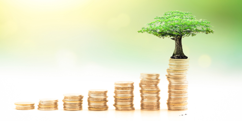 What is pre-seed funding?