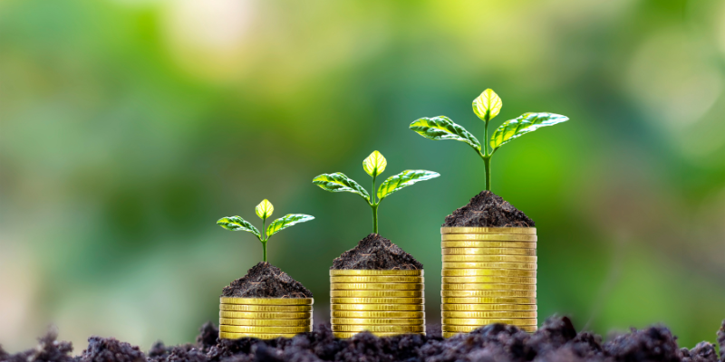 How to manage pre-seed funding effectively